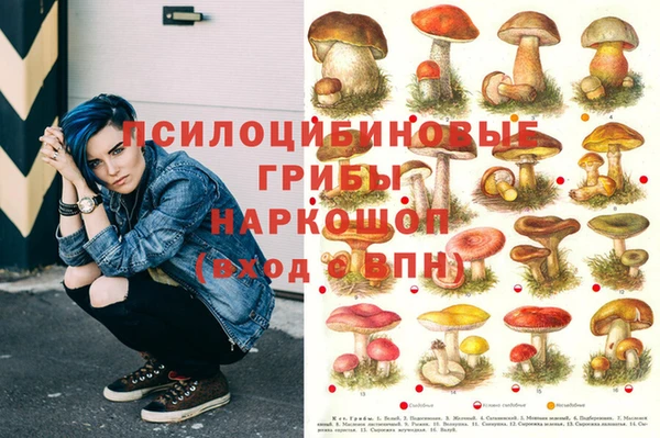 амф Абинск
