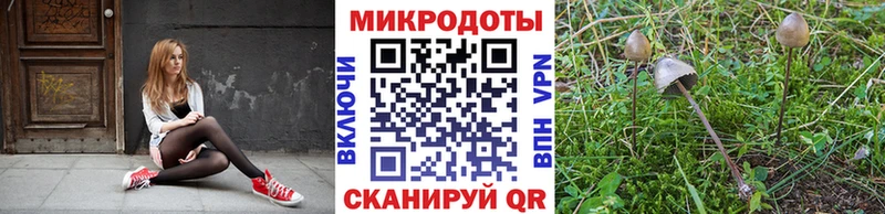 Галлюциногенные грибы Magic Shrooms дарнет шоп Урюпинск